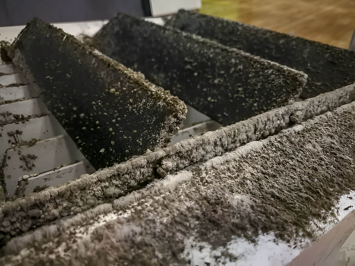 Property Management’s Annual Cleaning in DMV